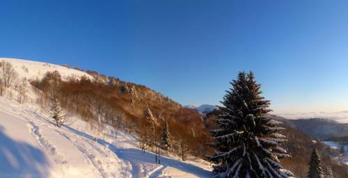Bed & Breakfast Les Rondins De La Fecht