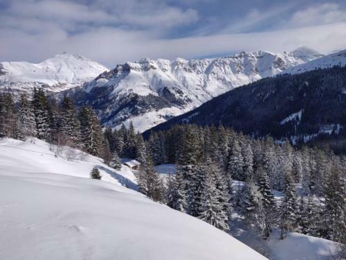 Apartamento Z Studio - Next Door To Vals Therme