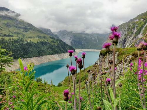 Apartamento Z Studio - Next Door To Vals Therme