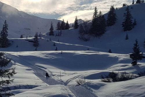 Apartamento Z Studio - Next Door To Vals Therme