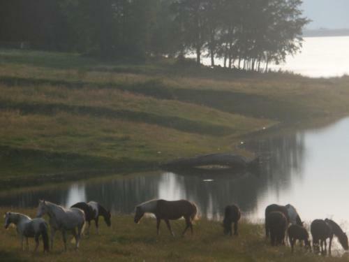 Aparthotel Naturresidenz Theistadl