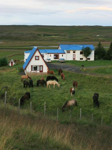Hostal Brekkul�kur Guesthouse