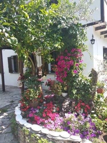 Apartamento Guesthouse To Kalivi