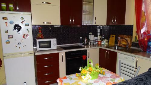Apartment Shoshi