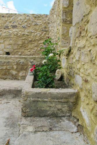 Agroturismo Petrakis Cretan Homes