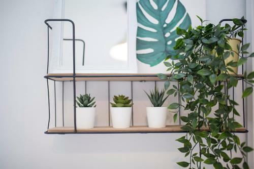 Apartamento Domus Lux Houses By Konnect