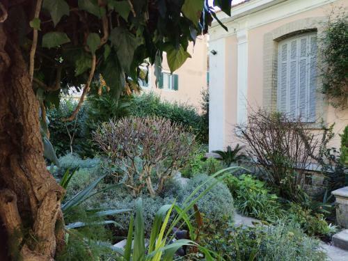 Apartamento Central Garden Villa