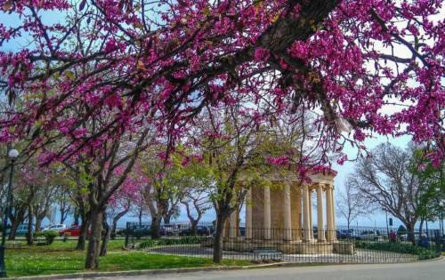 Apartamento Corfu Studio In Historic Unesco City Centre