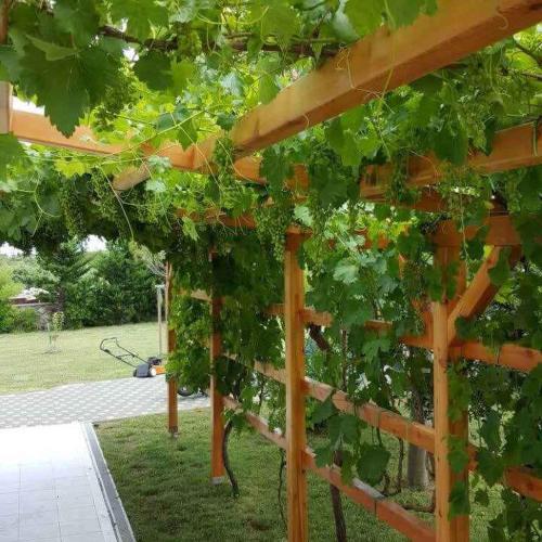 Apartment In Razanac - Zadar Riviera 39695