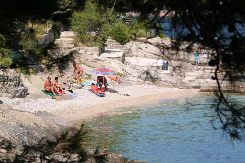 Apartments By The Sea Puntinak, Brac - 736