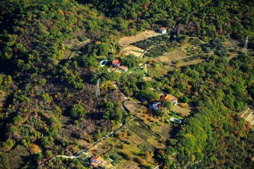 Isolated Villa Terna -big Garden-pool-dalmatia