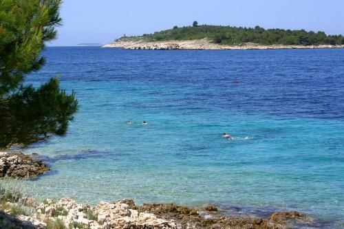 Apartments By The Sea Bilo, Primosten - 14601