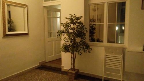 Apartmani Lela