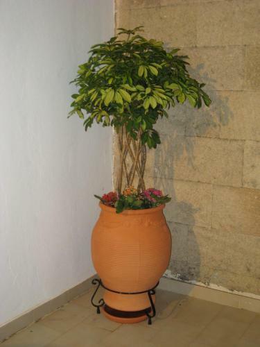 Apartamento Eleftheria Studios