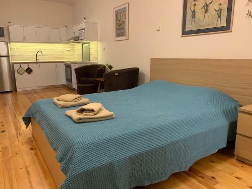 Tastefully Decorated One-bedroom Apartment - Chania