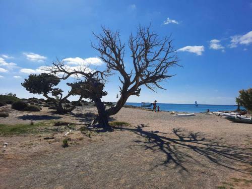 Apartamento New Sea Escape Boutique Apt