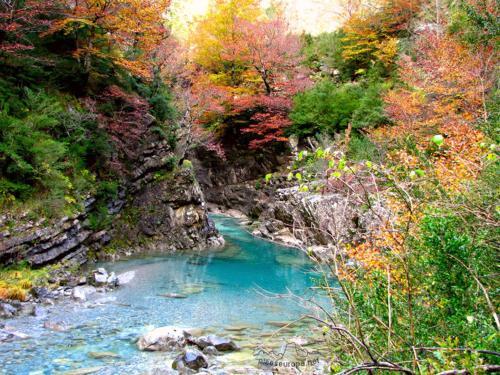 Hostal Pinarillos