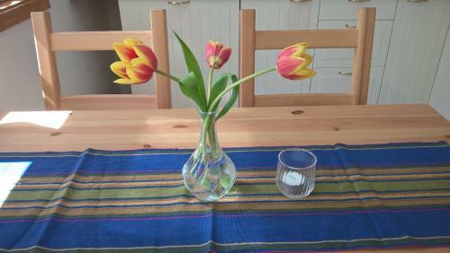 Apartamento Toms Stuga Schwedenh�uschen