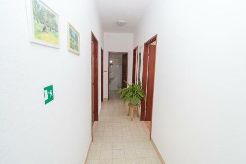 Apartment Zivkovic