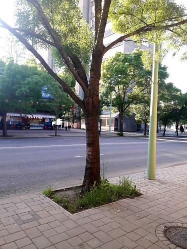 Centrum Apartman