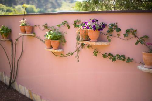 House Rabota Pula