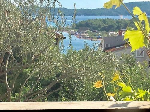 Apartmani Nina
