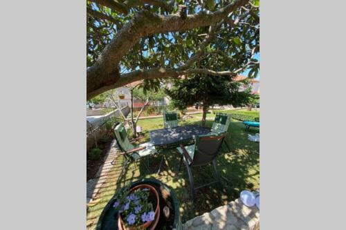 Comfy Apartment In A Queit Neighborhood