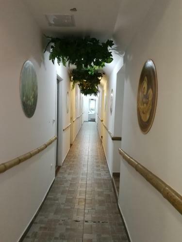 Bed & Breakfast Gomba Panzi�