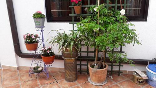 Bed & Breakfast Lavanda