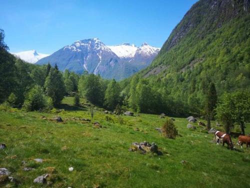 Lodge Sogndal Ski- And Mountain Cabin