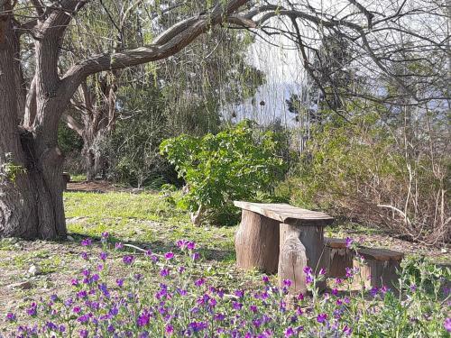 Klipfontein Rustic Farm & Camping