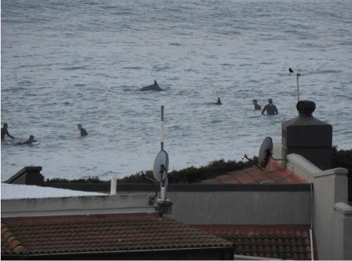 Apartamento Surfstar At Mimosa