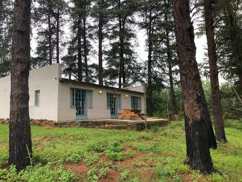 Lodge Tegwaan Country Getaway