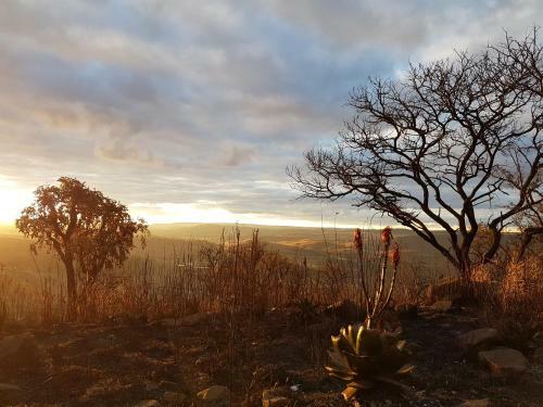 Lodge Tegwaan Country Getaway