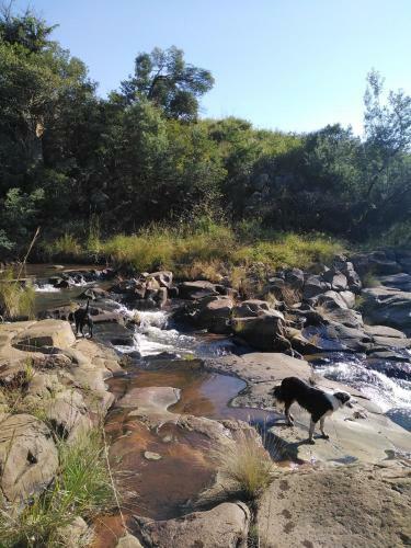 Lodge Tegwaan Country Getaway