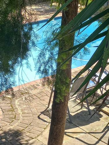 Hostal Kruger's Guest House