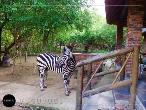 Vuguvugu - At Home In Africa
