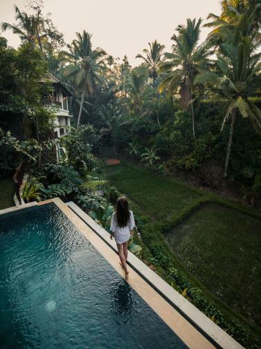 Lodge Bidadari Tegalalang Ubud II