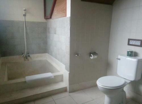 Lodge Bidadari Tegalalang Ubud II