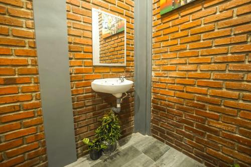Hostal The Backyard House