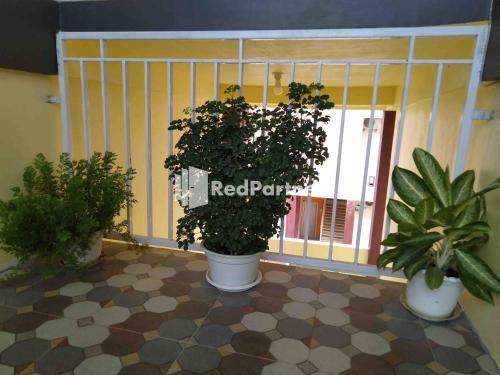 Hotel Boarding House Syariah Mm Bone Redpartner