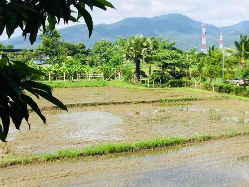 Pool Villa Klang Na Mae Rim