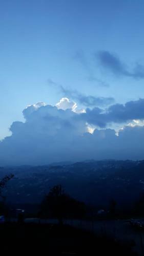 Salora Kodai