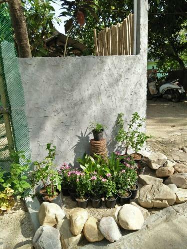 Nakhon Si Ban Na Homestay