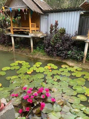 Nakhon Si Ban Na Homestay