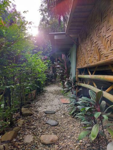 Nakhon Si Ban Na Homestay