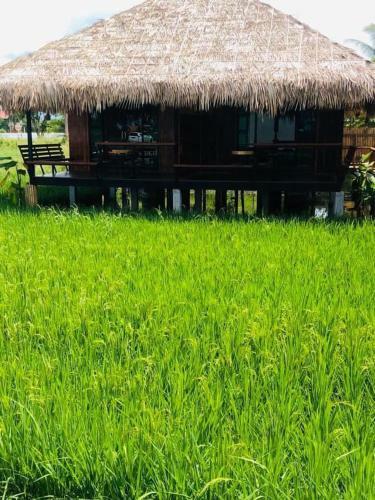 Agroturismo Lanna Homestay