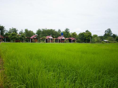 Hotel Jamsai Resort