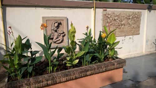 Bed & Breakfast Aiyara House