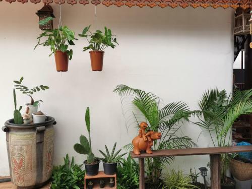 Hostal Chanida Home